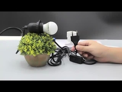 Lámpara de sal de la UE